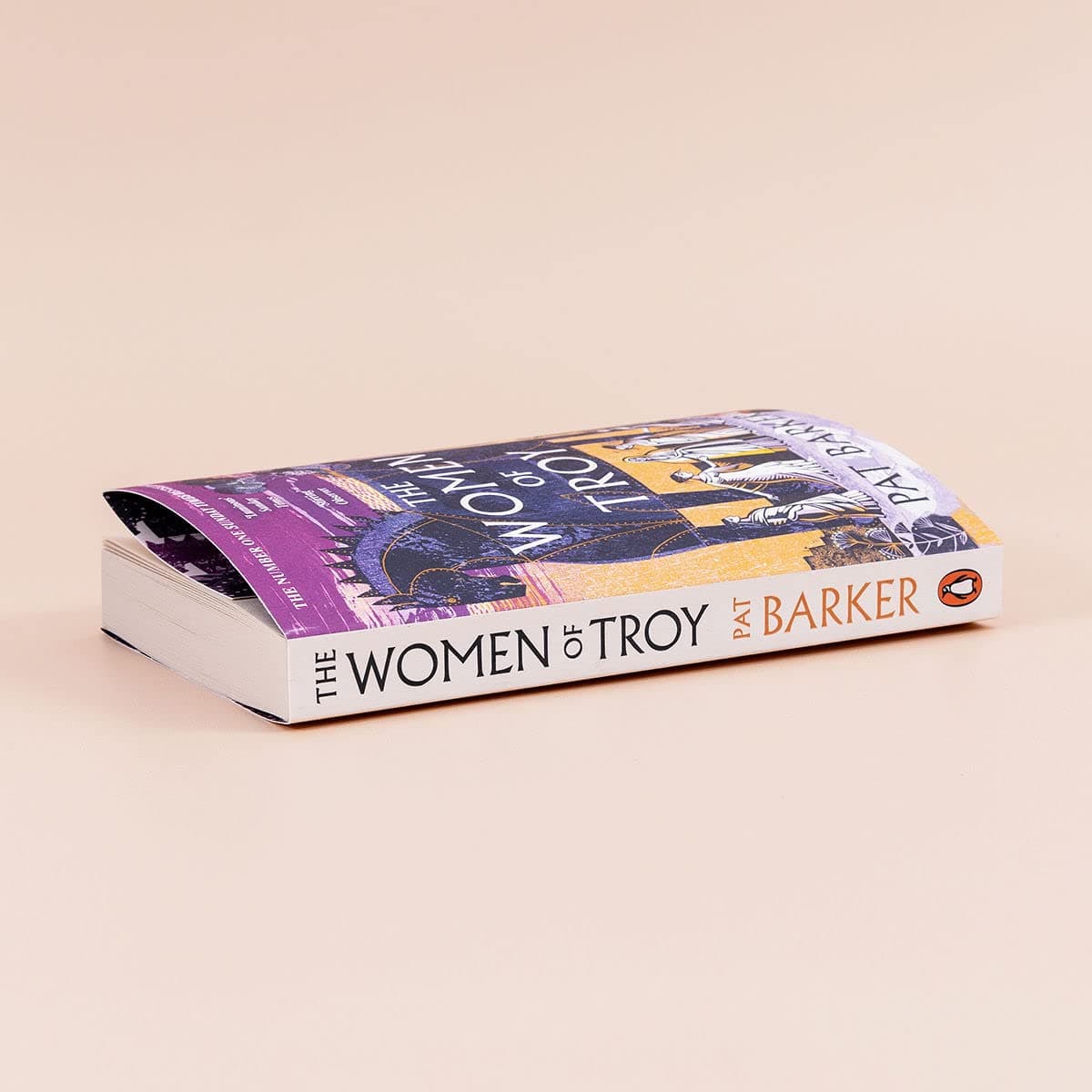 The Women of Troy: The Sunday Times Number One Bestseller thumbnail 4