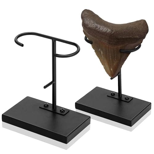 Chunful 2 Pcs Megalodon Shark Tooth Display Stand Metal Shark Tooth Holder Display Easel Holder for Slab Slice Fossil Flat Crystals and Minerals, 4 x 4.5'' (Metal Base) - Image 1