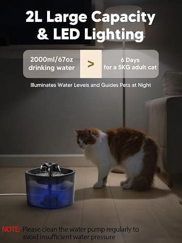 Automatic Cat Feeder and Water Fountain, 5L/20 Cups Timed Cat Dry Food Dispenser, 10s Meal Call, 20 Portions 6 Meals Per Day, 2L Cats Fountains for Drinking with Filter, Pet Feeder for Dog White thumbnail 6