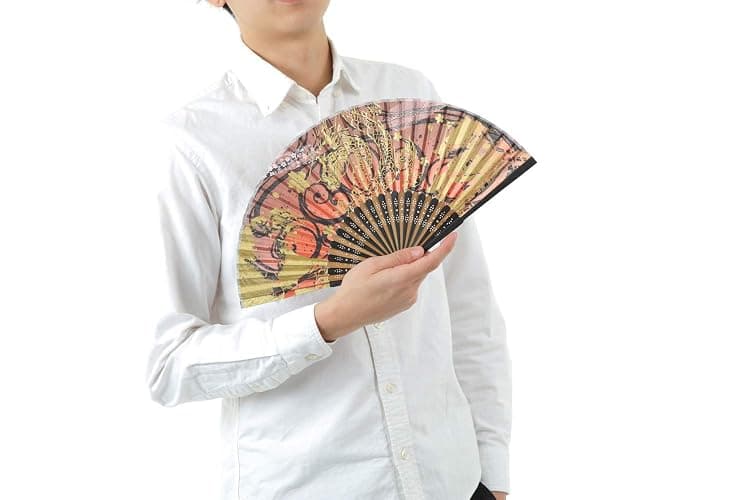 Terra Distribution Folding Fan [Japan Import] Hand Fans for Women Foldable, Japanese Fan, Unique Design, Handmade Bamboo, Silk Fan, 8.6" (22cm), Abanicos de Mano (900 (Dragon, Tiger)) thumbnail 5