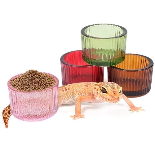 4 Pack Glass Reptile Feeding Dish Food Water Bowl Colorful Eating Container for Small Reptile Lizard Gecko Corn Snake (Random Color - Image 1