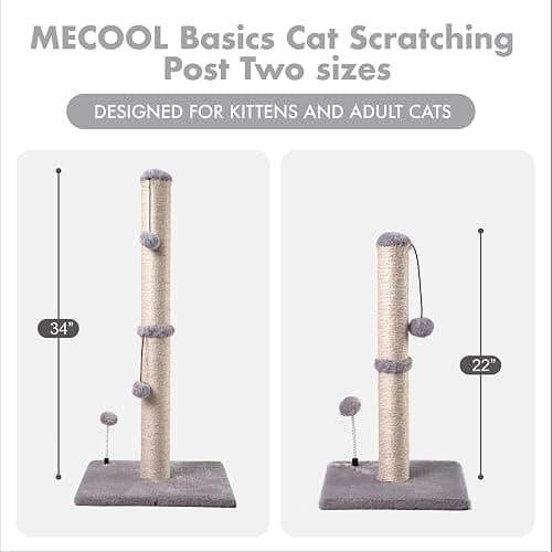 MECOOL Cat Scratching Post Premium Basics Kitten Scratcher Sisal Scratch Posts with Hanging Ball 22" for Kittens or Smaller Cats (22 inches for Kitten, Gray) thumbnail 5