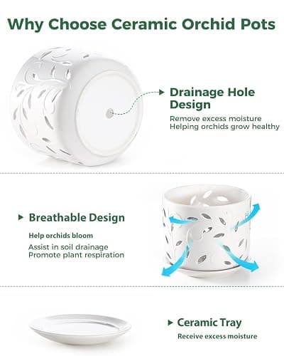 EFISPSS Orchid Pot with Holes, 5+6Inch Ceramic Plant Pots with Drainage Holes and Tray, Promoting Air Circulation and Drainage, Indoor/Outdoor White Flower Pots thumbnail 4