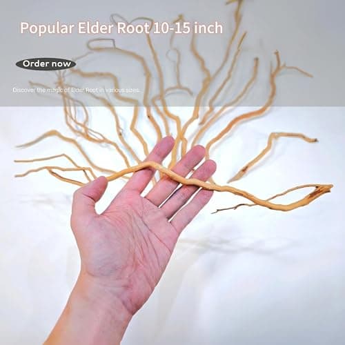 Azil Natural Aquarium Driftwood Root – Driftwood for Aquarium Decor, 170g~0.38lb (14″–16″), Fish Tanks, Terrariums, Aquascaping & Planted Tanks thumbnail 8