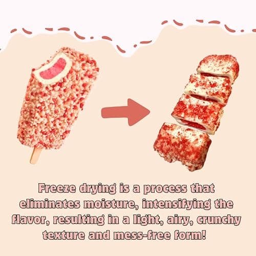 G-BOX Freeze Dried Ice Cream| Crunch Strawberry Shortcake Ice Cream Bites - Perfect for Camping, Outdoor, and Party - Air-tight Sealed in a Deli Container (7 OZ Strawberry Shortcake) thumbnail 3
