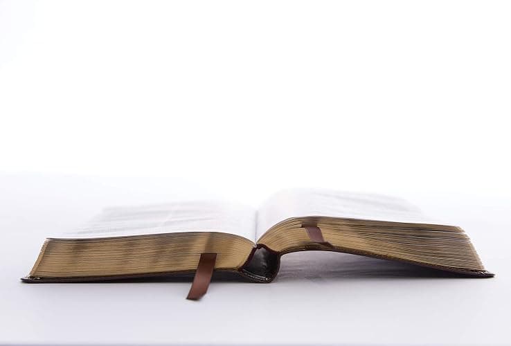 KJV Holy Bible: Personal Size Giant Print with 43,000 Cross References, Deluxe Burgundy Leathersoft, Red Letter, Comfort Print: King James Version thumbnail 3