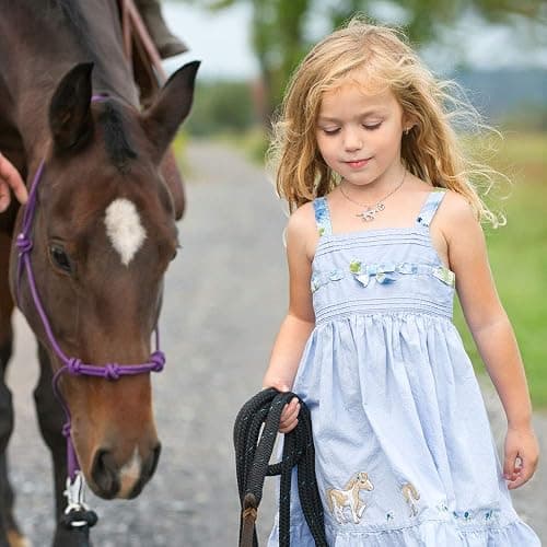 MONOOC Valentines Gifts for Kids Her Girls - Horse Necklace Gifts for Girls Horse Jewelry Necklaces Heart Initial Necklace Valentines Gift for Kids Her Teen Girl Women thumbnail 4