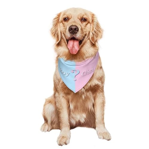 vercosee He Or She What Will It Be? Gender Reveal/Baby Announcement Dog Bandana,Pet Neckerchief for Pets Daily Wear Photo Prop Party Supplies (Blue) thumbnail 8
