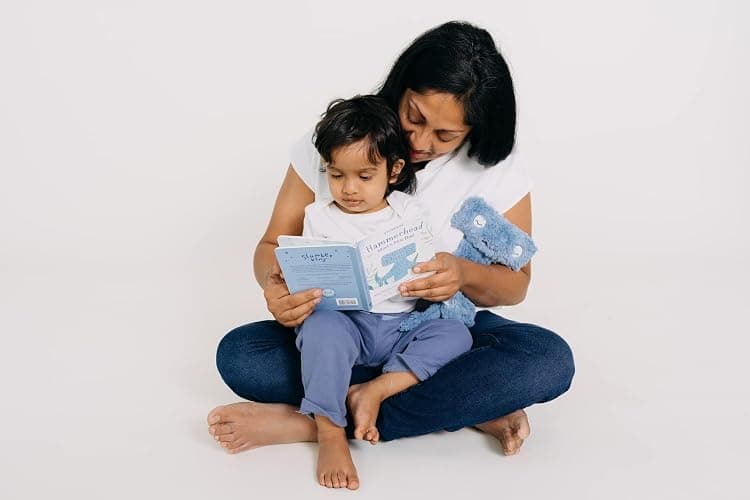 Slumberkins Hammerhead Snuggler & 2 Board Books Complete Set Bundle | Promotes Conflict Resolution, Social Skills & Responsibility | SEL Development (Hammerhead Snuggler Plush + 2 Board Books) thumbnail 6