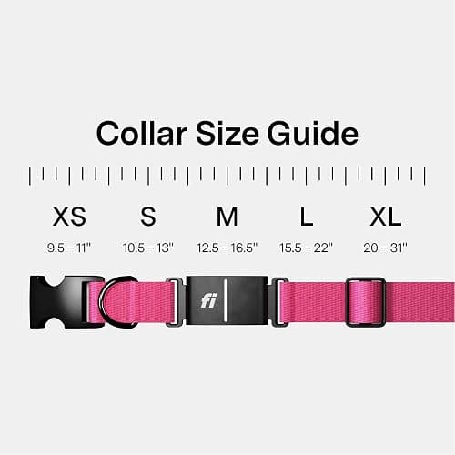 Fi New Series 3+ Smart Dog Tracker Collar [12 Month Membership Included] GPS Tracker for Dogs with Health & Behavior Monitoring, Escape Alerts, Waterproof, LED, Apple Watch Compatible (Pink, Medium) thumbnail 5