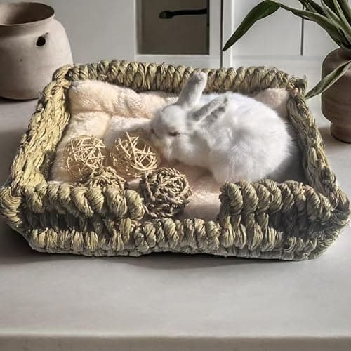 KitKni Natural Seaweed Pet Bed with Plush Cushion, 4 Woven Balls, Handmade Tetragonal Pet Basket, Cozy Indoor Den for Rabbits, Cats and Small Dogs thumbnail 2