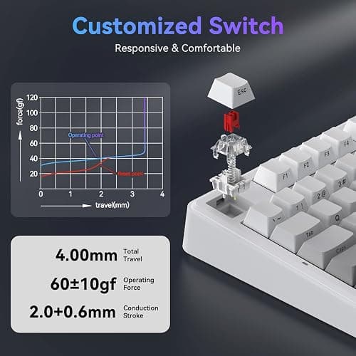 TECURS Mechanical Gaming Keyboard | Hot-Swappable Wireless RGB Keyboard Sideprinted |2.4Ghz/Type-C/BT5.0 | Gasket Mount Custom Keyboard for PC/Mac/PS5/PS4, US Layout Gradient Grey thumbnail 8