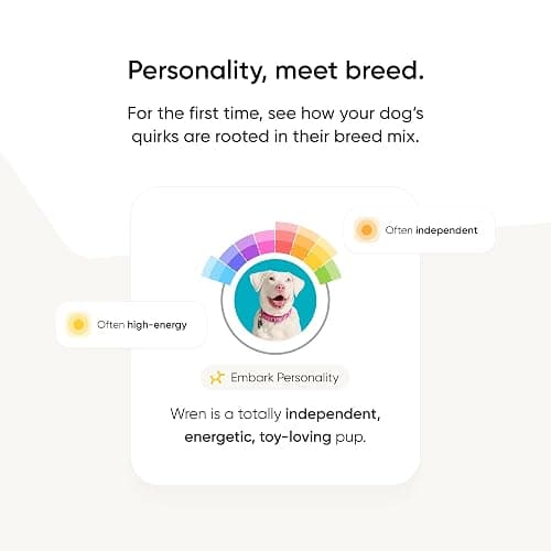 Embark Breed & Health Kit - Dog DNA Testing Kit - Discover Breed, Ancestry, Relative Finder, Genetic Health, Traits, Allergy Risk Scores thumbnail 8