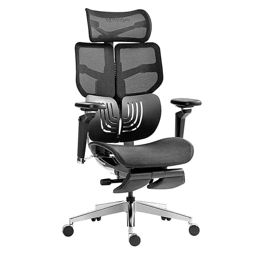 HINOMI X1 Ergonomic Office Chair