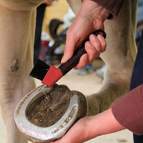 BOTH WINNERS 4Pcs Horse Hoof Pick Brushes, with Soft Touch Rubber Handle thumbnail 5