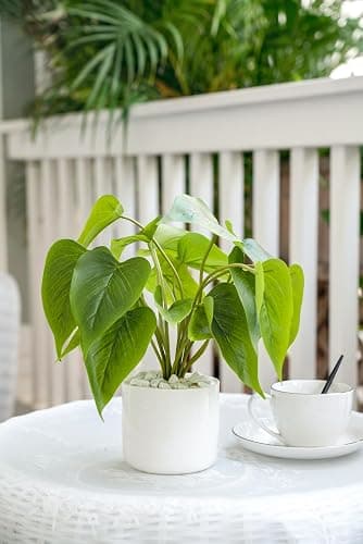 Mkono Fake Plants in Ceramic Pot, 11" Potted Artificial Plants Home Decor | Realistic Faux Green Leaf Plant with White Planter, Fake Pothos, for Desk Shelf Table Office Bathroom Bedroom Decoration thumbnail 7