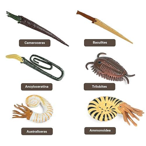 EOIVSH Prehistoric Cambrian Sea Animal Toys, 12PCS Ancient Marine Animal Figures, Miniature Toys Cake Topper Ocean Animal Figurines for Kids Toddlers thumbnail 3