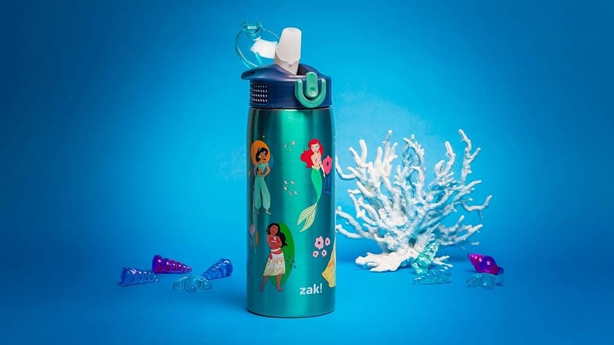 Zak Designs Disney Princess Water Bottle for Travel and At Home, 19 oz Vacuum Insulated Stainless Steel with Locking Spout Cover, Built-In Carrying Loop, Leak-Proof Design (Disney Princess) thumbnail 9