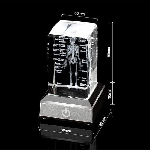 IFOLAINA 3D Human Skeleton Model Anatomy Gifts Crystal Labeled Skeleton Model Medical Figurines Bone Doctor Stuff Named Laser Engraved Gift for Med Biology Students thumbnail 2