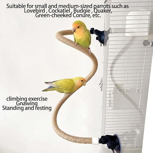 Suction Cup Set for Bird Window/Bath/Car/Travel Perches - Suitable for Small and Medium Bird Parrot Parakeet Cockatiel Conure Budgie Lovebirds thumbnail 6