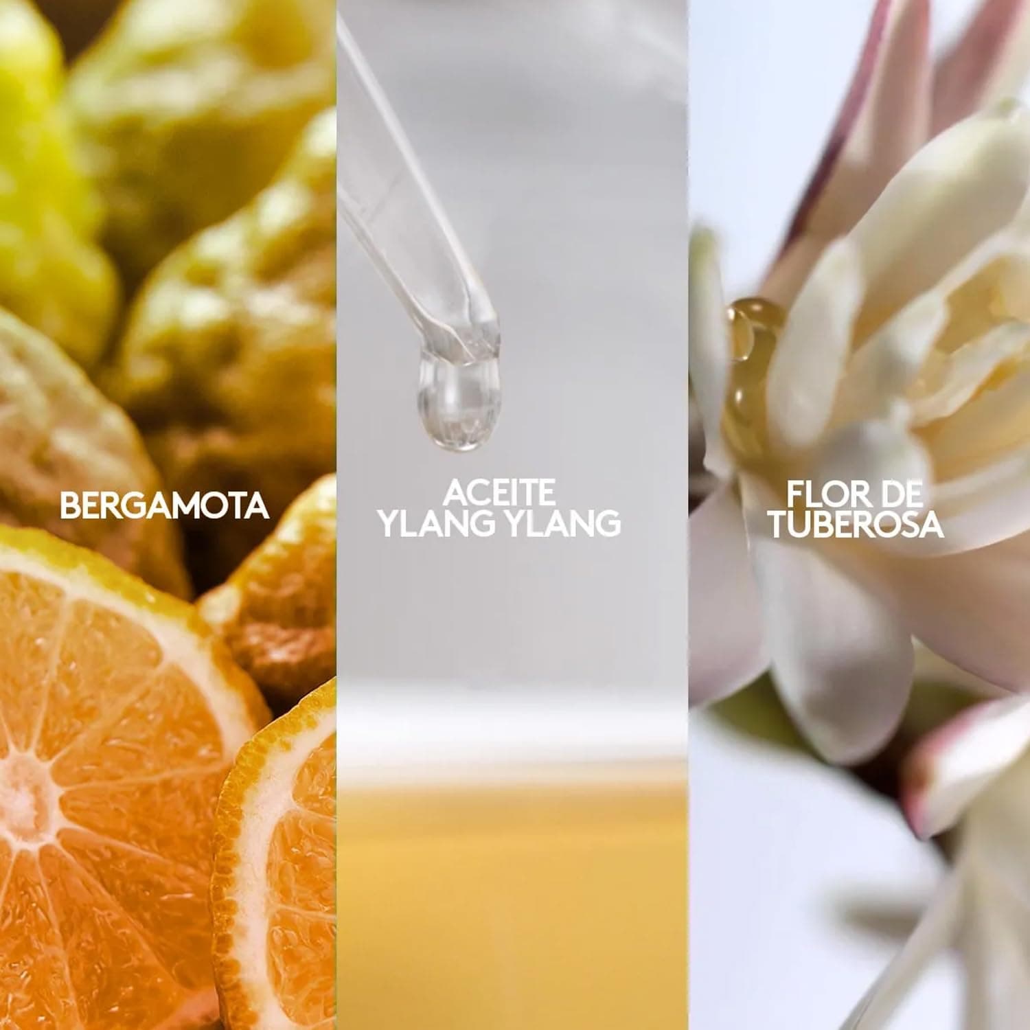 ésika - Vibranza Blanc 45 ml, Perfume para Mujer, Fresco y de Larga Duración, Familia Olfativa Floral, Perfume Femenino, Dulce y Atrevido, con Muy Alta Concentración, para Mujer Segura de Sí Misma thumbnail 5