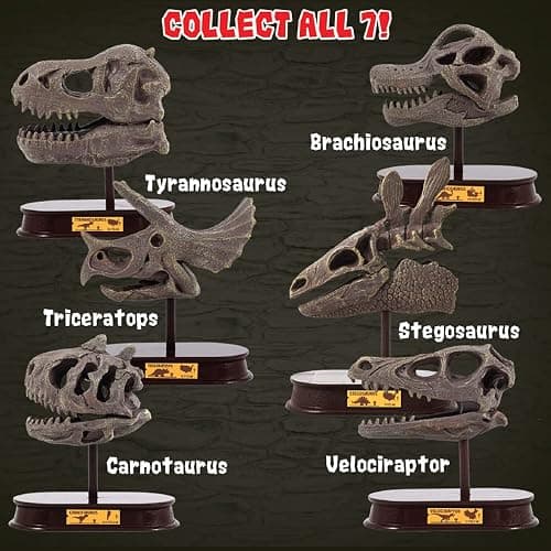ArtCreativity Dinosaur Excavation Kit for Kids, 5.5” Pachycephalosaurs Skull Excavating Set with Fossil Digging Tools and Stand, Fun Science Activity Toy, Educational Dinosaur Gift for Boys and Girls thumbnail 8