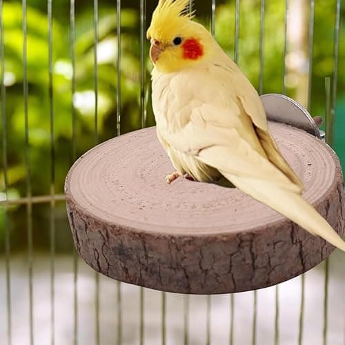 6 Pcs Parrot Perch Bird Perch Stand Set Budgie Toys Bird Cage Accessories Toys for Cockatiels Lovebirds Budgies Chewable (Natural, 10-12Inch) thumbnail 4