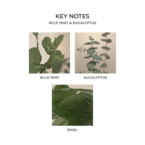 NEST New York Reed Diffuser Liquid Refill, Wild Mint & Eucalyptus - 5.9 fl oz - Fragrance for Up to 90 Days - Flame Free thumbnail 4