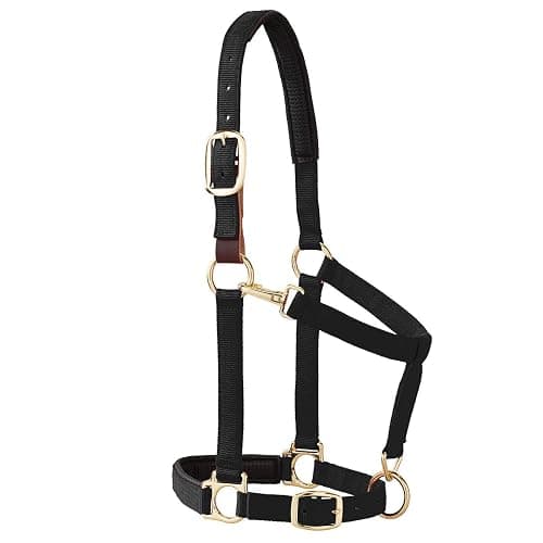 Weaver Equine Breakaway Horse Halter, Comfort Foam Padding, Adjustable Chin & Throat Snap Halters for Horses, Equine Tack,Average Size - Image 1