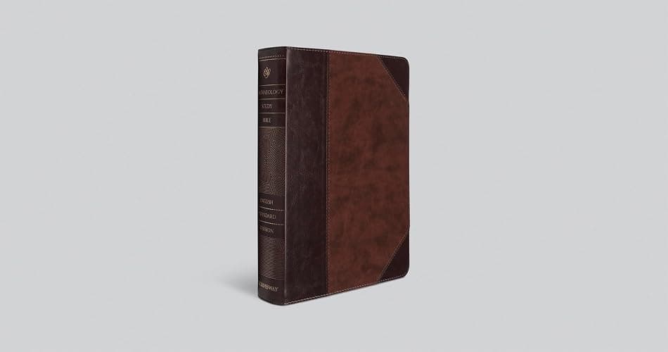 ESV Archaeology Study Bible (TruTone, Brown/Walnut, Portfolio Design): Holy Bible, English Standard Version thumbnail 8