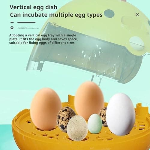 tkerinse Egg Incubator, Rutin Chicken Egg Incubator for Hatching Eggs, Small Clear Egg Hatching Incubator, Automatic Smart Control Hatcher Machine for Variety Size of Eggs thumbnail 5