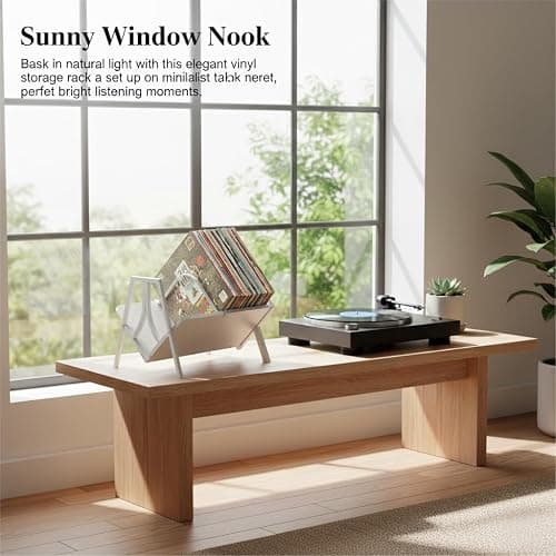 ZEXVIDA Vinyl Record Storage Rack for 50 LPs, Vinyl Record Album Holder Heavy-Duty Record Storage Shelf with Handles, Record Holder, Multi-Purpose Organizer thumbnail 6