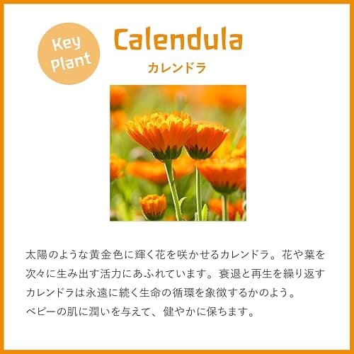 Weleda Baby Calendula Face Cream 50ml thumbnail 4
