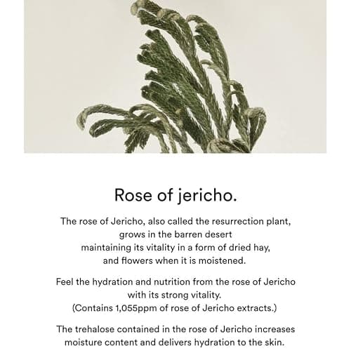 Abib - Benda per occhi al collagene Jericho Rose Jelly 60P thumbnail 6