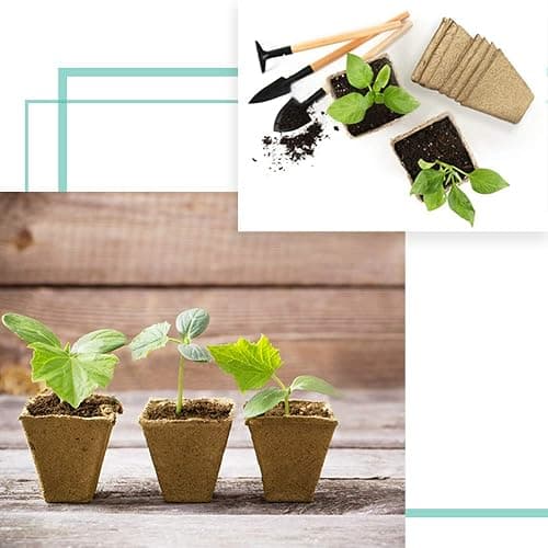 JOYSEUS 3.25" Seed Starter Pots, Organic Planting Peat Pots for Indoor Garden Seedling, 30 Pcs 100% Eco-Friendly and Biodegradable for Seed Germination thumbnail 7