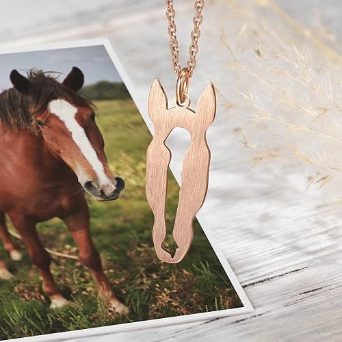 Ailin Custom Sterling Silver 925/Stainless Steel Personalized Horse Head Silhouette Pendant Necklace For Her Horse Keepsake Memorial Necklace thumbnail 3