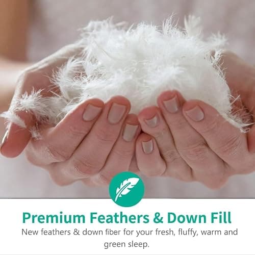 APSMILE Queen Size Feathers Down Comforter - Ultra Soft All Seasons 100% Organic Cotton Feathers Down Duvet Insert Medium Warm Quilted Bed Comforter with Corner Tabs (90x90,Ivory White) thumbnail 3