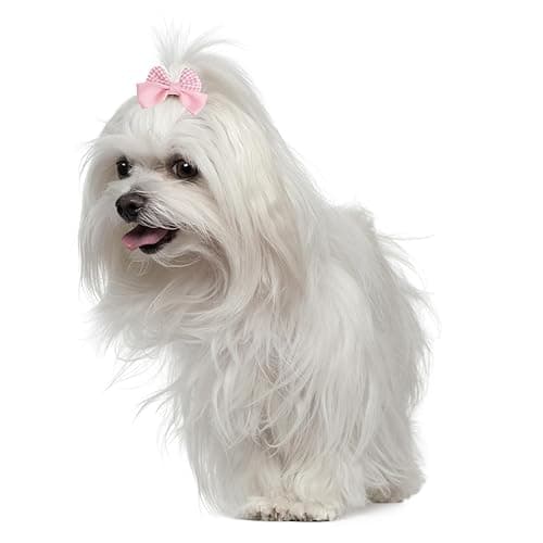 20Pcs Light Pink Small Dog Hair Bows Cute Puppy Dog Bowknot Hair Bow Bulk with Rubber Bands Elastic Lace Rhinestone Pearls Hair Ties Mix Style Handmade Flower Bow Dog Cat (Light Pink, Cute pattern) thumbnail 6