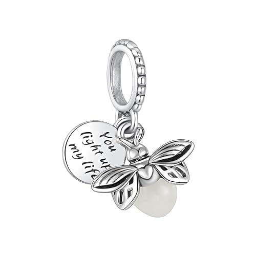 WANIUS 10 Pack Silver Charms for Pandora Bracelets and Necklaces Charms for Women CZ Pendant Jewelry Charm Set thumbnail 3