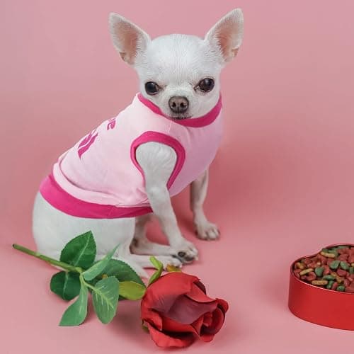 Reginary 8 Pieces Dog Shirts Girl Small Dog Clothes for Chihuahuas Yorkies Female Puppy Shirts Printed Pet Outfit Cute Breathable Soft Christmas Doggie Cat Lovers Gift(Vivid Pattern,Size M) thumbnail 4
