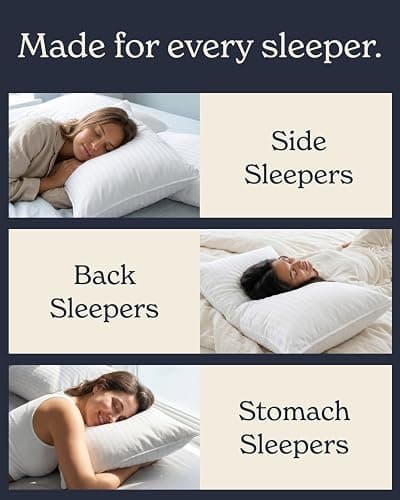 Beckham Hotel Collection Euro Size Throw Pillows (Set of 2), 26 x 26 | Down Alternative Pillow Insert for Bed, Couch, and Sofa thumbnail 7