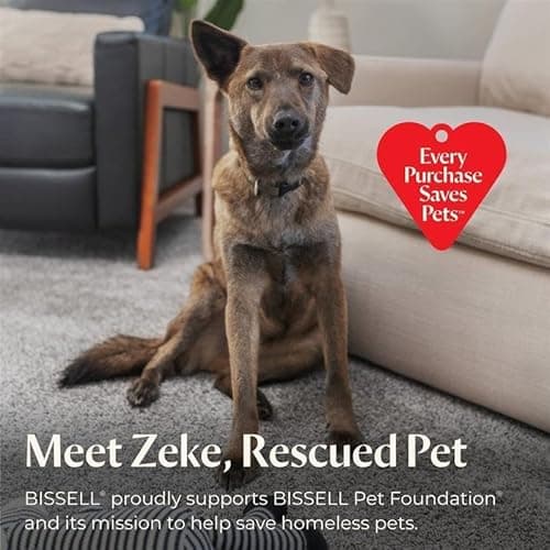 BISSELL® Steam Shot™ OmniReach handheld portable steam cleaner for tile, grout, windows, bathrooms, kitchens, fabric steaming tool thumbnail 9