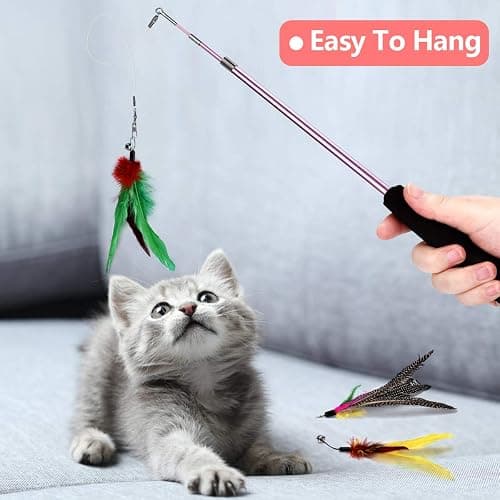 Bojafa Cat Toys for Indoor Cats Adult: Interactive Kitten Feather Wand Toys - 15Pcs Cat Teaser Toys - 15Pack thumbnail 5