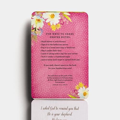 100 Pass-Along Notes for Joy: Prayers to Share (Shareable Messages of Encouragement with a Prayer, Scripture, and Inspirational Quote) thumbnail 7