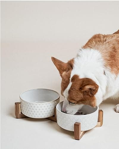 Dog Bowls Ceramic for Small Medium Dogs - 3-Cup Dual Food & Water Bowl Set with Acacia Wood Stand, Non-Slip Anti-Tip Elevated Design thumbnail 8