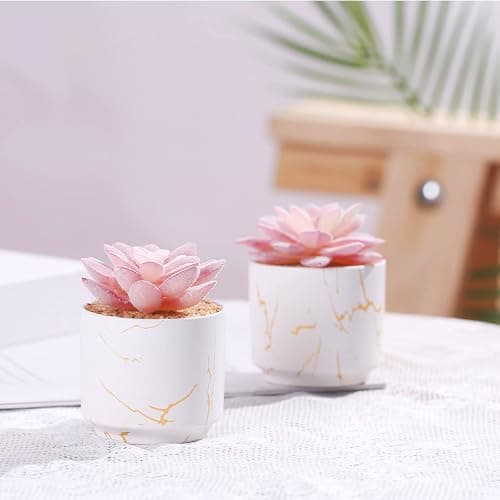 ZENIDA Artificial Plants and Succulents in 2 White Ceramic Pots,Small Fake Plants for Office and Desk Decor,Bathroom, Bedroom,Shelves for Women thumbnail 6