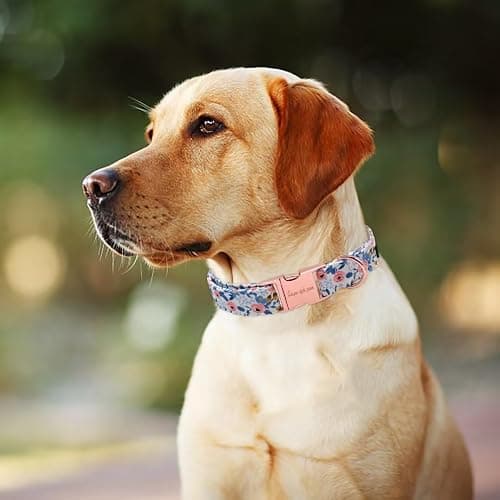 Unique style paws Dog Collar Metal Buckle Red Rose Puppy Collar Flower Gift Durable Cute for Small Medium Large Boys Girls Dogs thumbnail 3