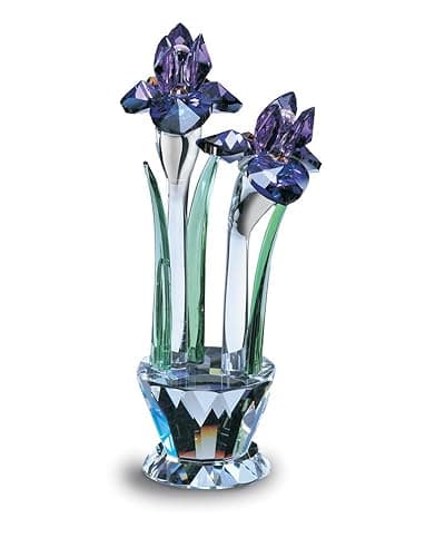Iris by Crystal World