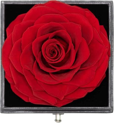 Muttertagsgeschenk für Mama, Muttertag Geschenk, Ewige Echte Rose Konservierte Box mit Herz Halskette & Ohrringe 925 Sterlingsilber Geschenkbox für Mutter am Valentinstag Muttertag Hochzeit Geburtstag thumbnail 5