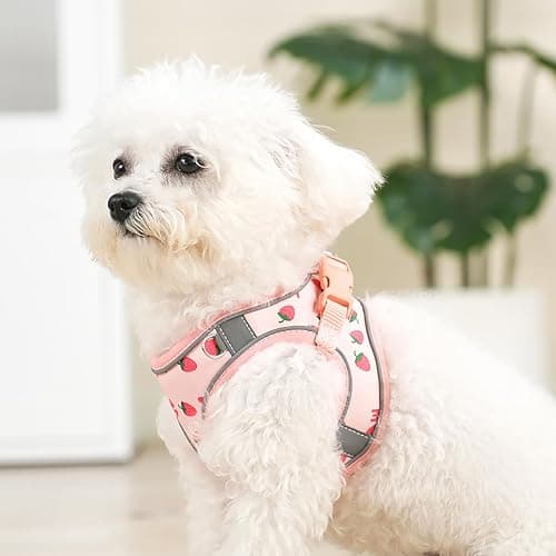 Step in Dog Harness and Leash Set, Flower Adjustable Easy Walk Puppy Harnesses, Soft Mesh No Pull Pet Vest Harness for Small Medium Dogs(Strawberry, S) thumbnail 6